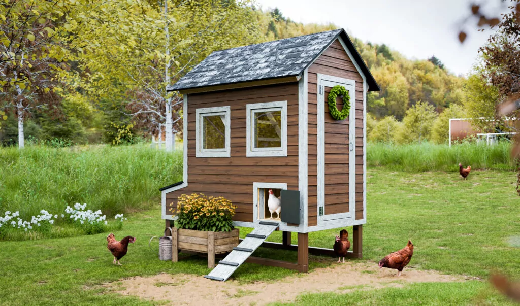 4x8 elevated walk in chicken coop for 8 chickens
