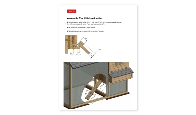 8x12 chicken run ladder assembly