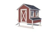 Chicken coop_40 (6x6)_view