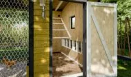 extra large chicken run interior design