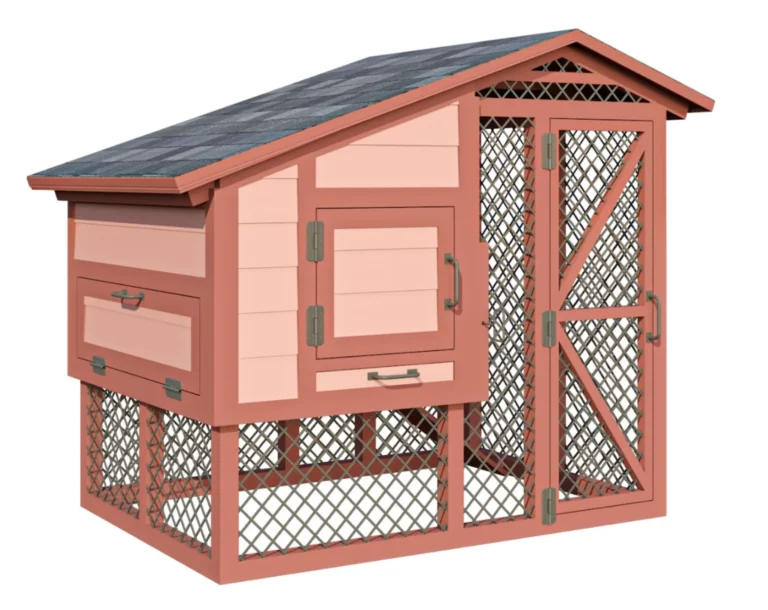 Adding final touches to the coop