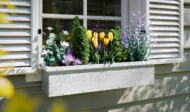 classic window planter box design