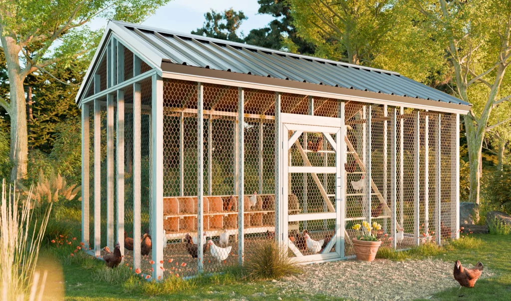 10x20-walk-in-chicken-run