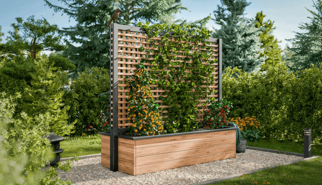 Sleek wood and metal raised garden bed with integrated trellis and privacy screen