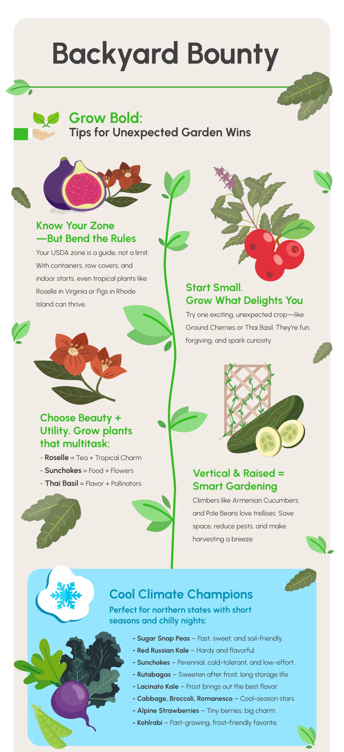 Craftcamp - Backyard Bounty – Infographic - Part 1