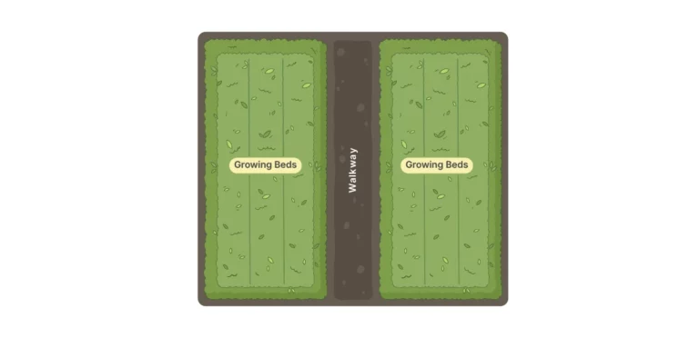 Illustration showing a linear greenhouse layout with two sections of growing beds on either side of a central walkway