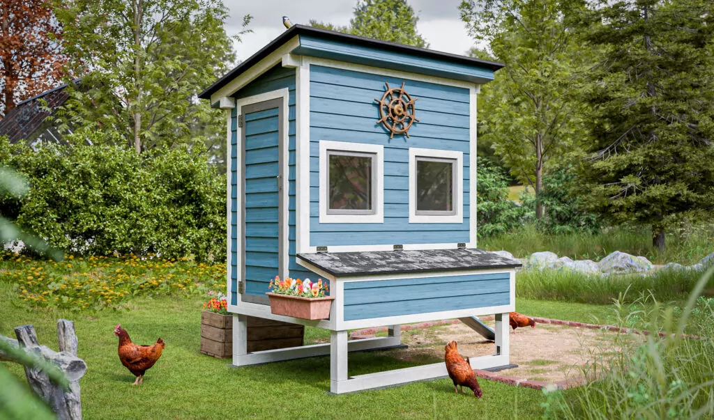 5x6-walk-in-chicken-coop-for-12-chickens
