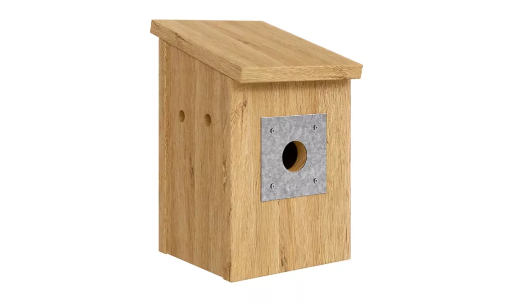 simple-bluebird-house-view