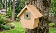simple-wren-house-design