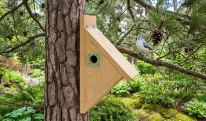titmouse-birdhouse-design