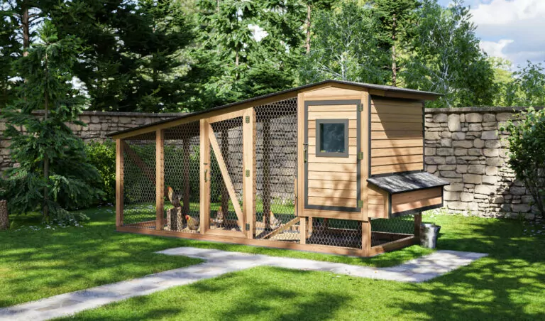 17x6 Elevated Medium Chicken Coop With Run