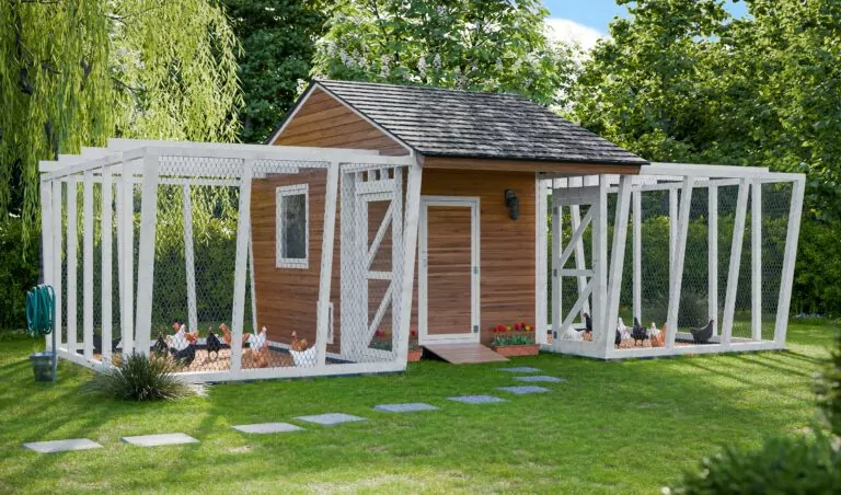 30x15 Large Chicken Run For 50 Chickens