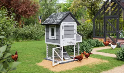 3x3 small chicken coop with run for 4 chickens