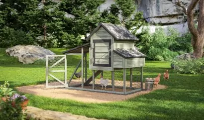 Small Chicken Coop With Run For 6 Chickens