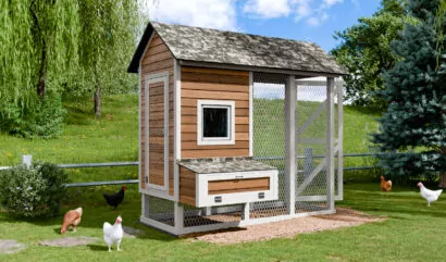 medium chicken coop with run for 10 chickens