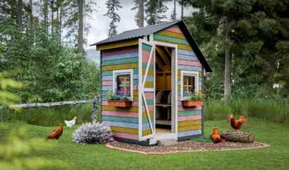 5x6 diy walk in chicken house for 10 chickens