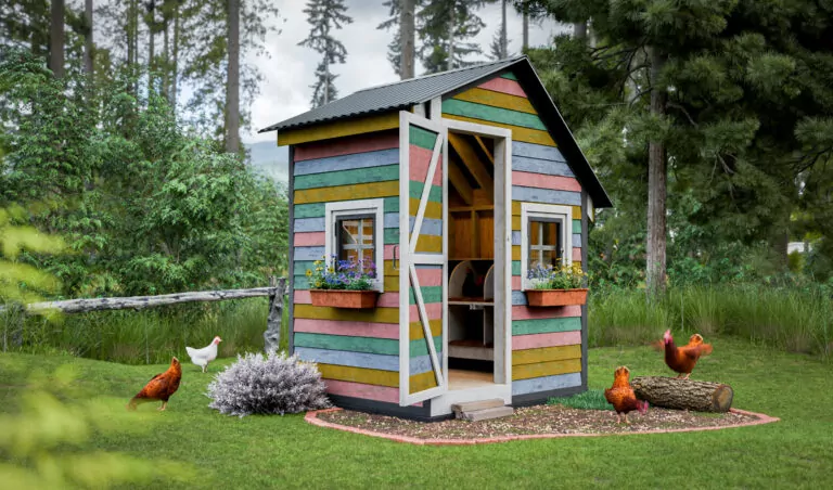 5x6 diy walk in chicken house for 10 chickens