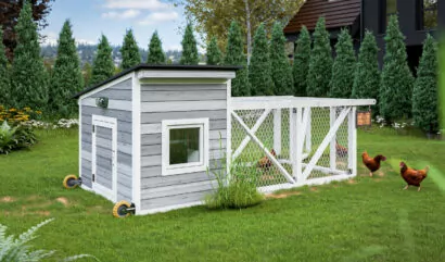 6x12 chicken tractor for 10 chickens