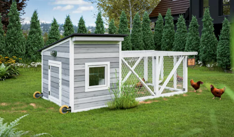 6x12 chicken tractor for 10 chickens