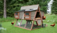 7x6 diy chicken coop with run for 6 chickens