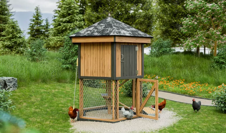 7x8 diy elevated chicken coop for 10 chickens