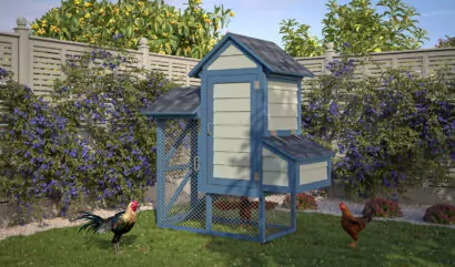 Chicken coop 33 (2x4) Context