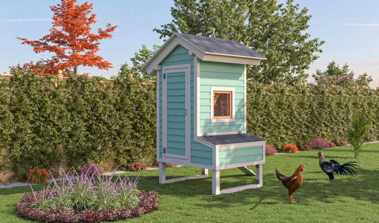 5x4 chicken coop