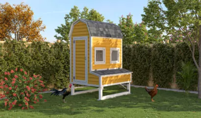Chicken Coop (5x6)