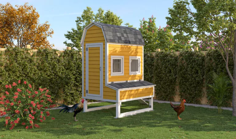 Chicken Coop (5x6)