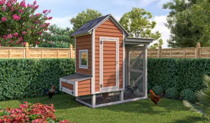 Chicken coop (4x8)
