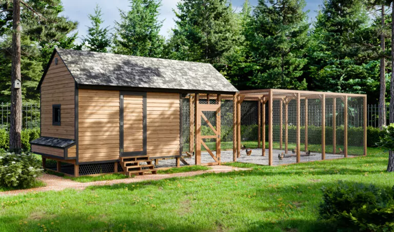 Extra Large Chicken Coop With Run For 50 Chickens