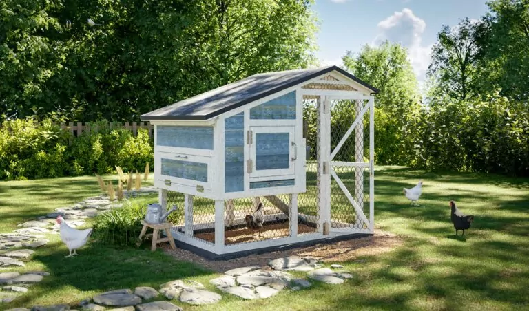 Medium Chicken Coop For 10 Chickens