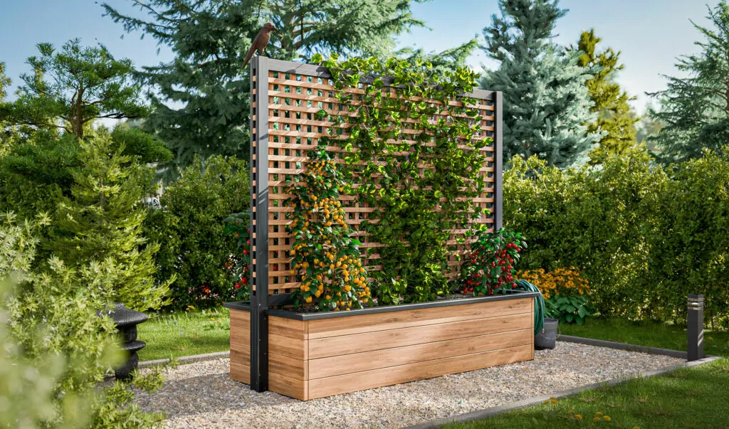 diy wooden raised garden bed with privacy screen