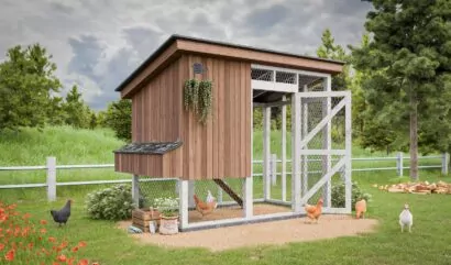 6x10-elevated-chicken-coop-with-run
