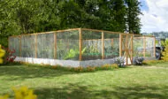 32x32-large-raised-garden-bed-with-deer-fence