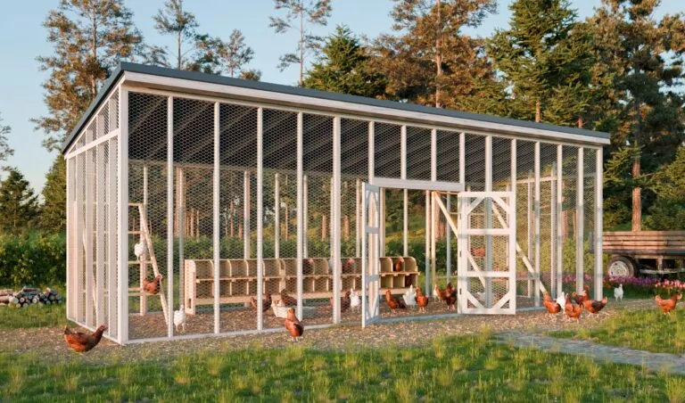 10x30-walk-in-chicken-run-design