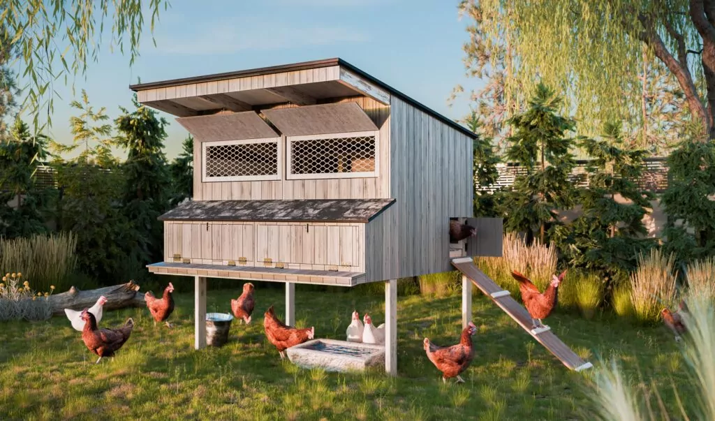4x6-elevated-hen-house-design