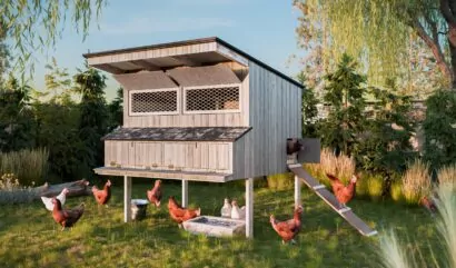 4x6-elevated-hen-house-design