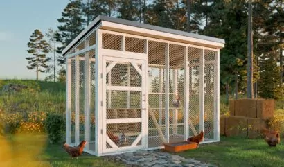 6x12-walk-in-chicken-run-design