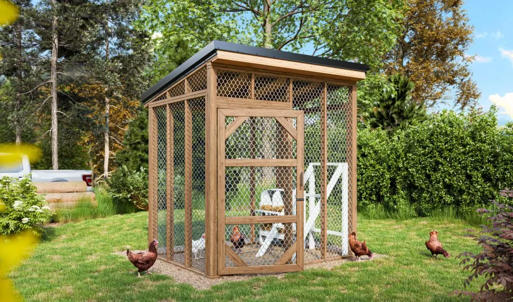 6x8-chicken-run-design