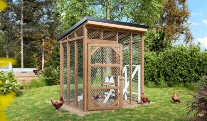 6x8-chicken-run-design