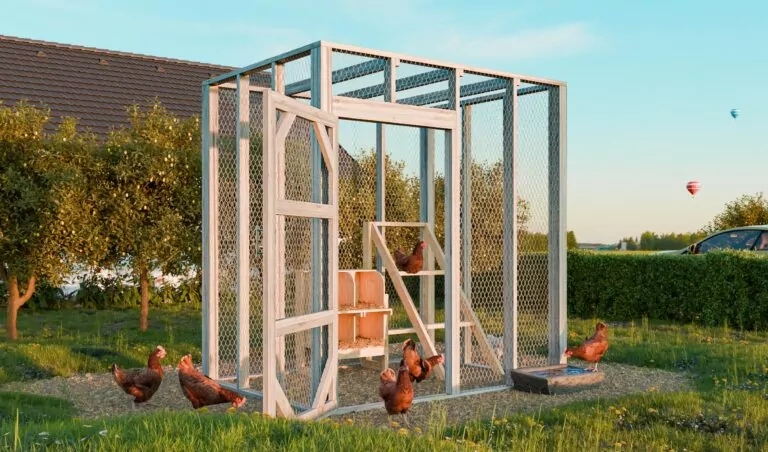 6x8-simple-chicken-run-design