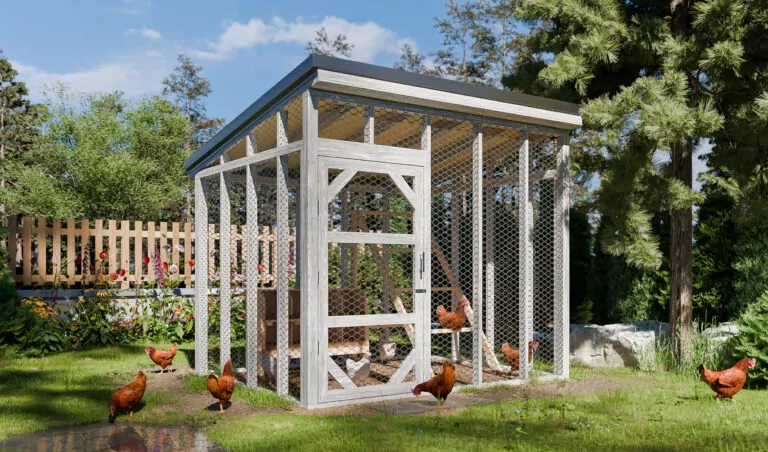 8x10-walk-in-chicken-run-design