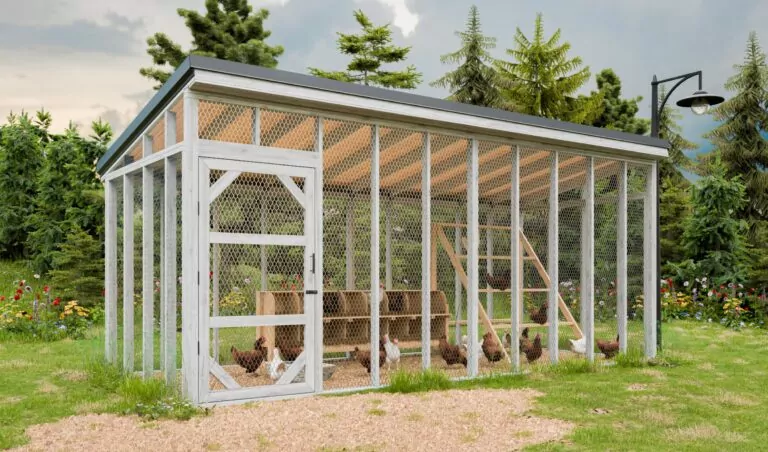 8x20-walk-in-chicken-run-design