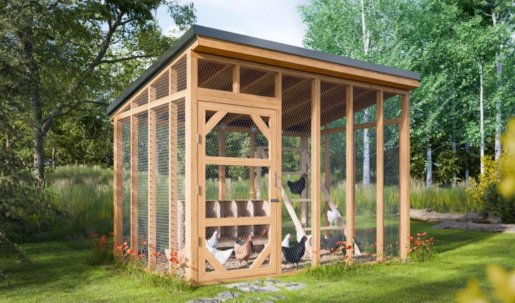 COOP58_05-8x12-chicken-run_OBJ-A-2