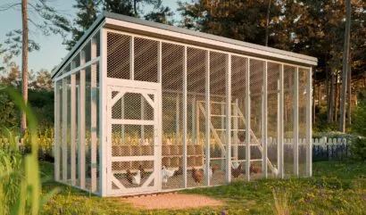 10x20-walk-in-chicken-run-design