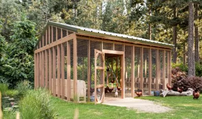 20x20-walk-in-chicken-run-design
