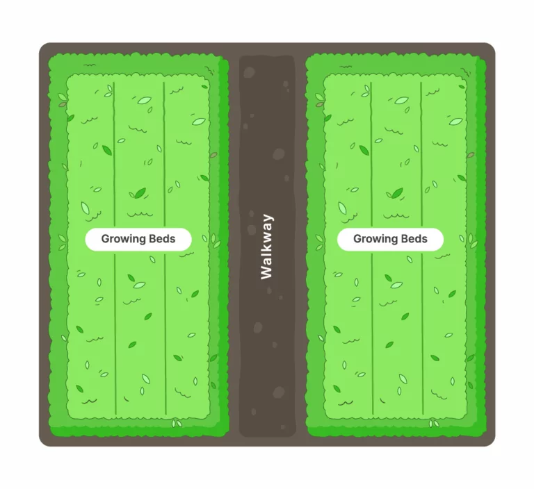 Illustration showing a linear greenhouse layout with two sections of growing beds on either side of a central walkway