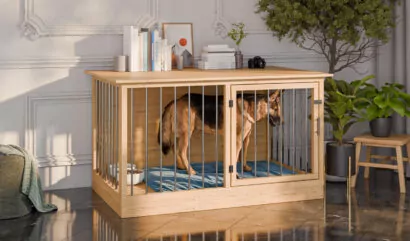 5x3-large-dog-kennel-design
