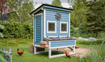 5x6-walk-in-chicken-coop-for-12-chickens